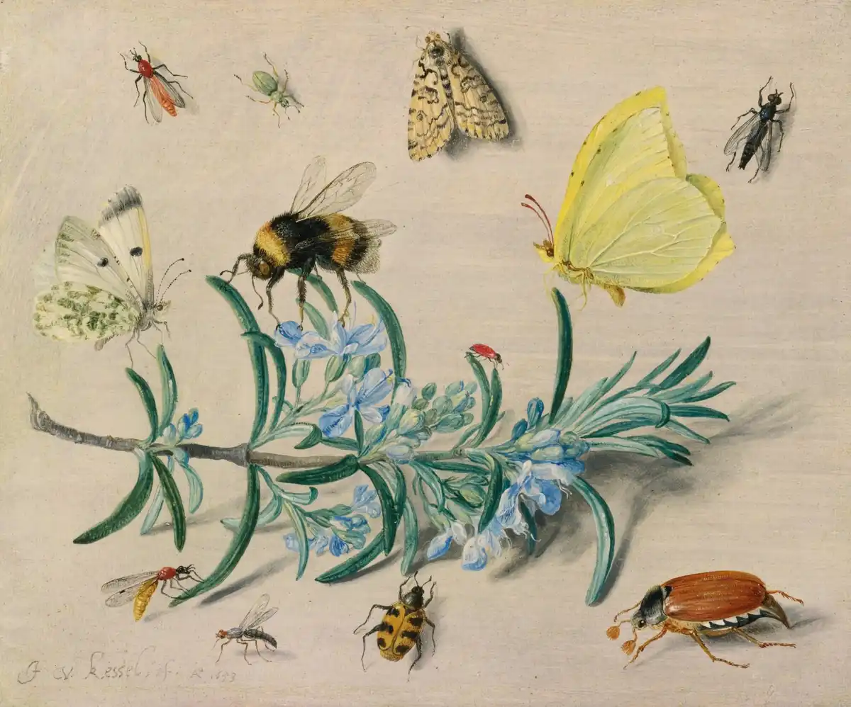 Still-life study of a bumblebee foraging a flowering rosemary sprig among butterflies and beetles.