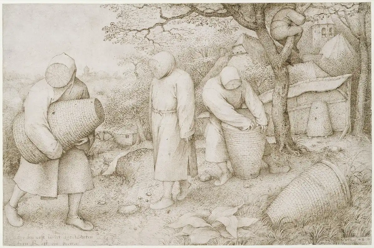 Pen drawing of three beekeepers in wicker face-guards carrying skep hives, while a figure climbs a tree behind them.