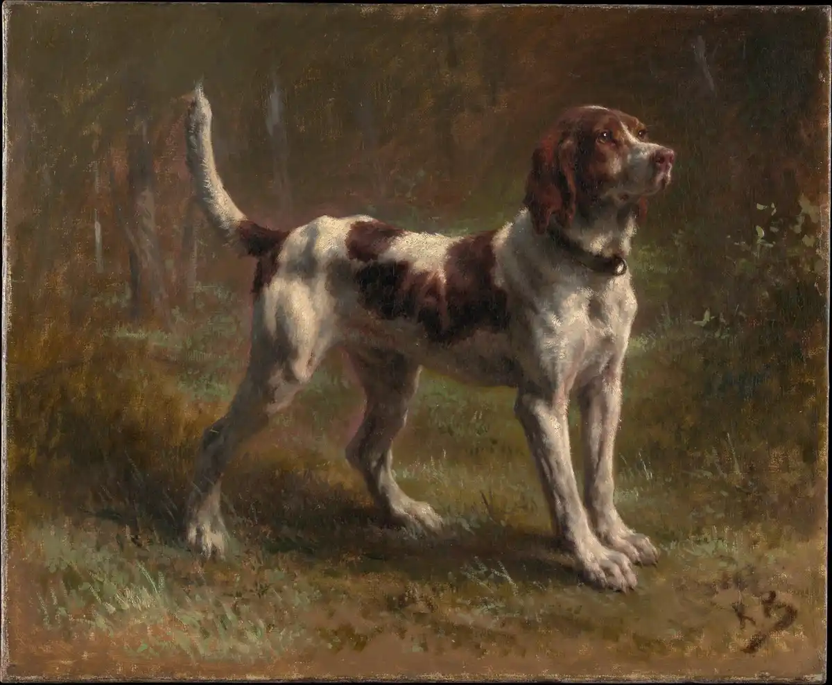 Oil study of a French scenting hound standing alert against a bare, earthy ground.