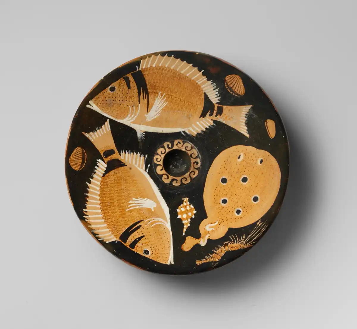 Red-figure fish-plate painted with two bream, a torpedo ray, a shrimp, scallops, a mussel and a murex shell.