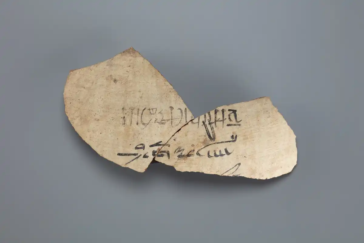 Two pale pottery sherds from a storage jar, inked with a hieratic label naming the contents.