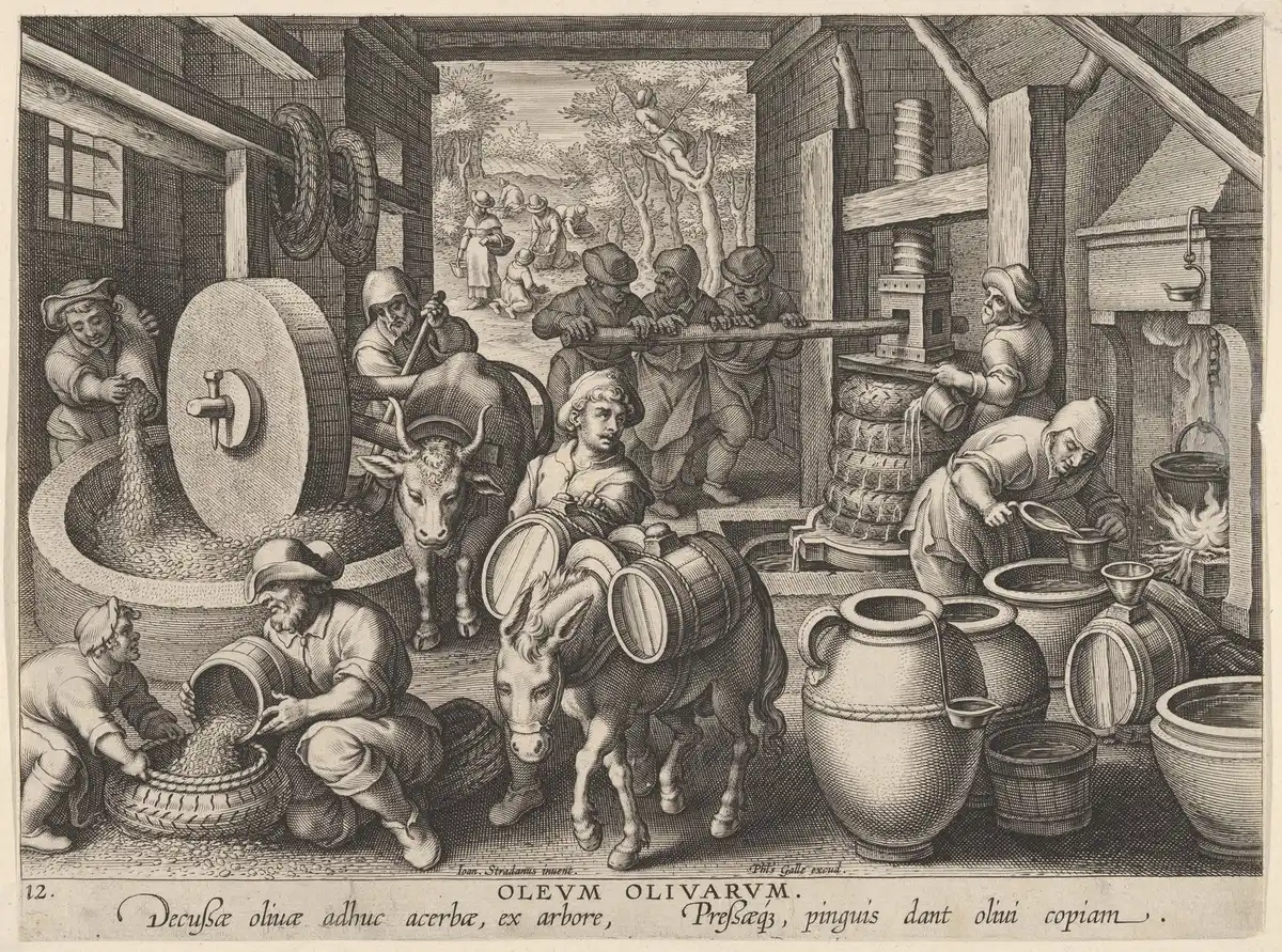 Renaissance engraving of an olive-oil works: an ox turns a millstone, men work a great screw press, oil is drawn into jars.