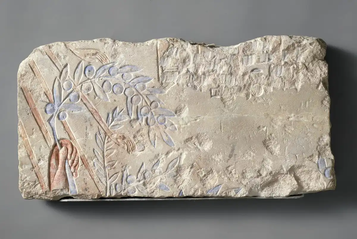 Limestone relief block carved with a small hand grasping an olive branch, traces of red and blue paint surviving.