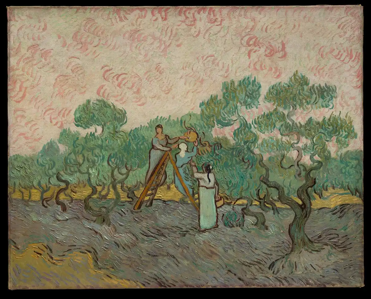 Three women in a swirling olive orchard, one on a ladder, picking olives under a pale sky.